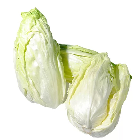 zuckerhut