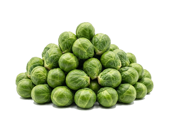 rosenkohl1